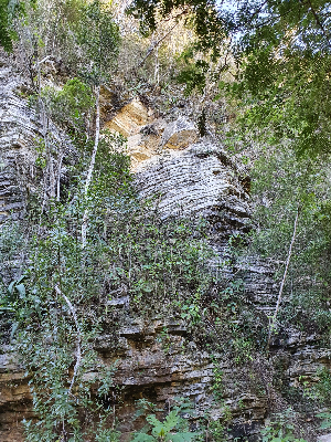 Xv_SteepSlope_BahorucoPeninsula_AlexaVoss.jpg