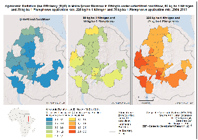 Agronomic Radiation Use Efficiency (RUE) in Maize Stover Biomass in Ethiopia_300dpi.png
