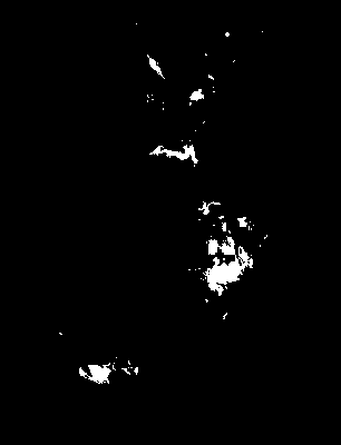 seca_370_2081_tp_upper.tif