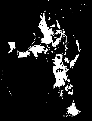 chpa_370_2041_etss_upper.tif
