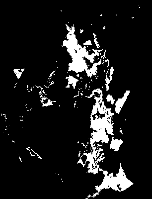 chpa_585_2081_mtss_mean.tif