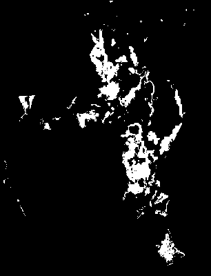 chpa_370_2041_tp_mean.tif