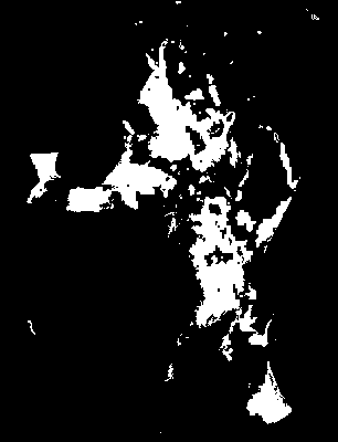 chpa_245_2041_mtss_mean.tif