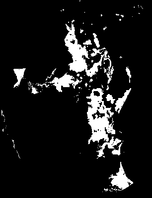 chpa_245_2081_etss_upper.tif