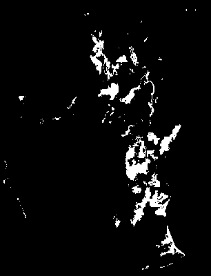 chpa_370_2081_tp_upper.tif