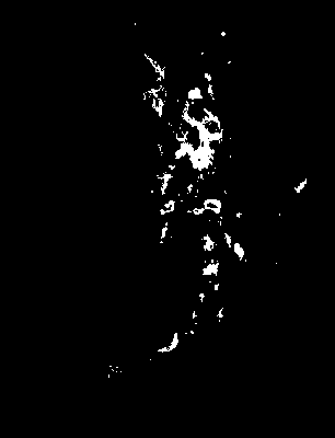 bufu_585_2081_mtss_upper.tif