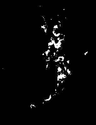 bufu_370_2081_etss_upper.tif