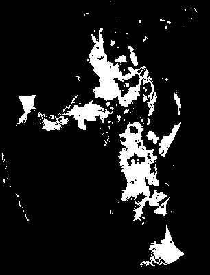 chpa_245_2081_mtss_upper.tif