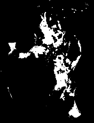 chpa_585_2041_mtss_upper.tif
