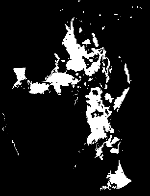 chpa_370_2041_mtss_mean.tif