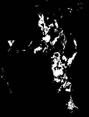 chpa_245_2081_tp_upper.tif