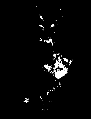 seca_370_2041_tp_mean.tif