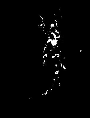 bufu_585_2081_etss_upper.tif