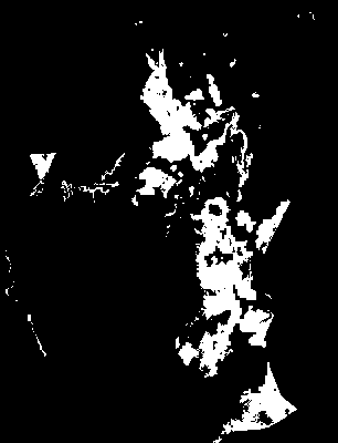 chpa_370_2081_mtss_lower.tif