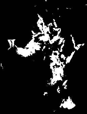 chpa_current_mtss_mean.tif