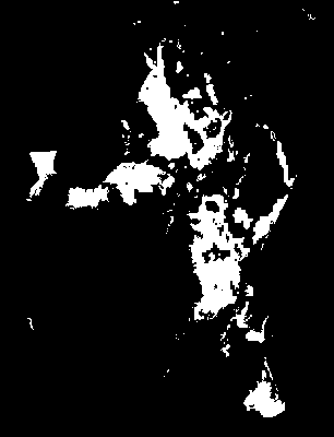 chpa_245_2041_etss_mean.tif