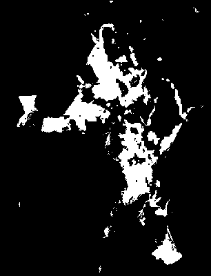 chpa_126_2041_mtss_upper.tif