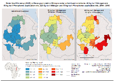 Water_use_efficiency_in_Maize_Grain_yield_new.png