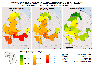 Agronomic_Fertilizer_Use_Efficiency_FUE_in_Maize_grain_yield_in_Ethiopia_new.png