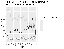 Abb_4b.png